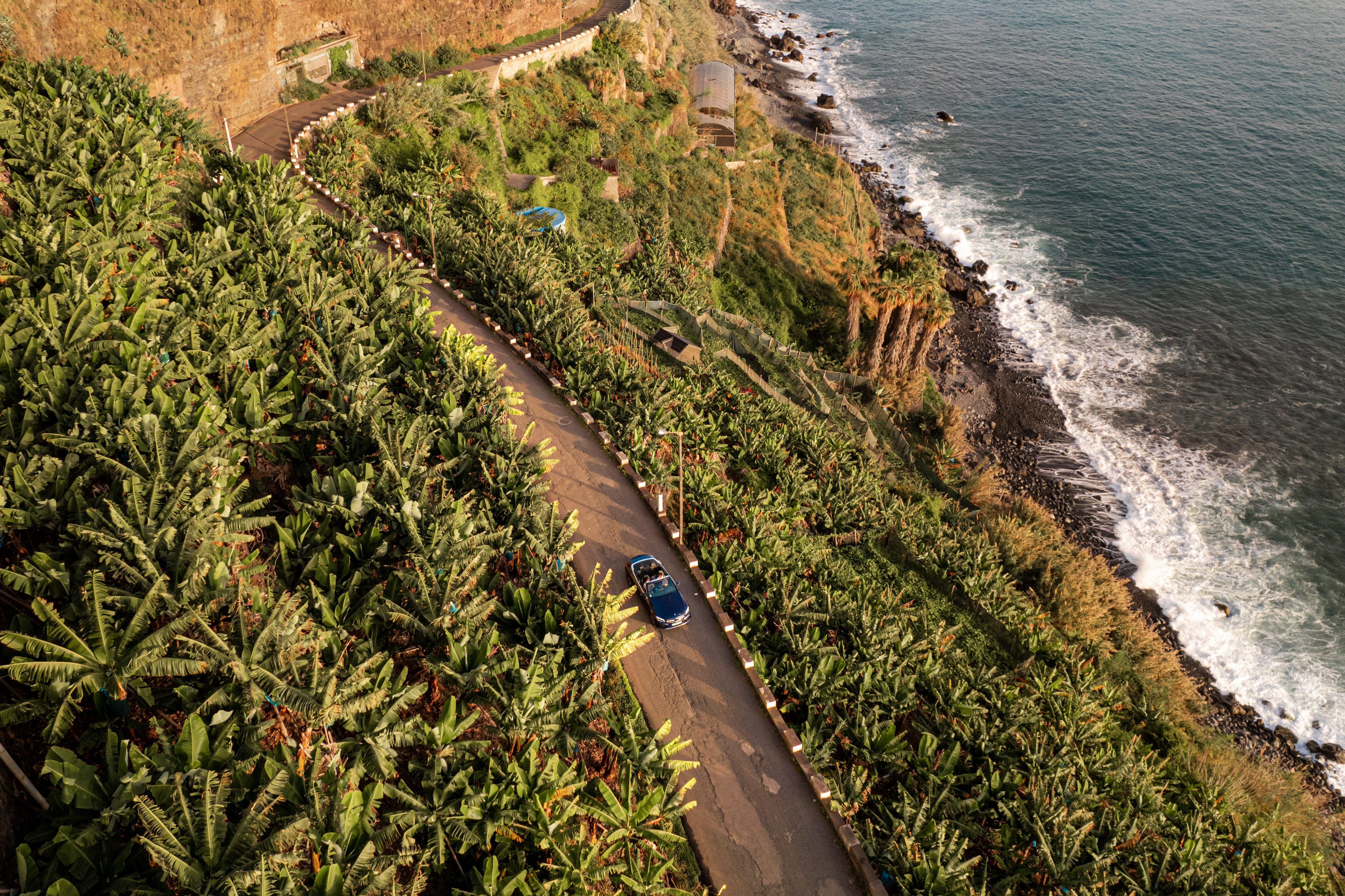 Cópia de Madeira_rent (23).jpg
