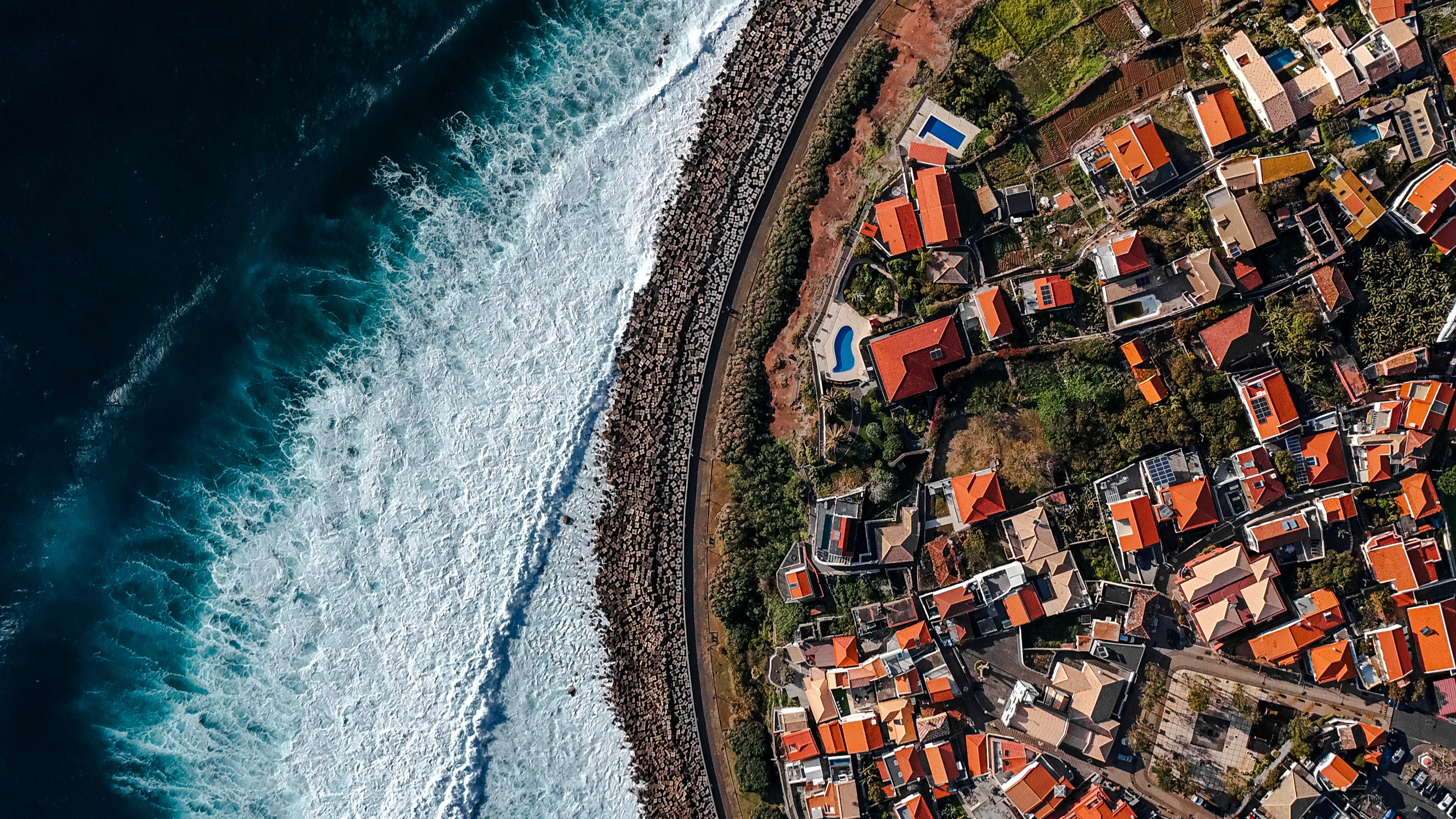 A Madeira que fica na memória